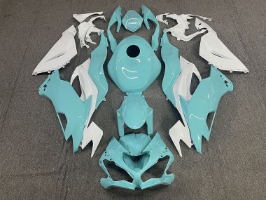 Aqua 19-23 Kawasaki ZX6R Verkleidung