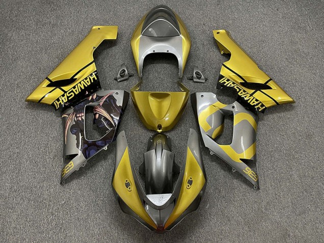 Gold & Silber 05-06 Kawasaki ZX6R Verkleidung Gold & Silber 05-06 Kawasaki ZX6R Verkleidung